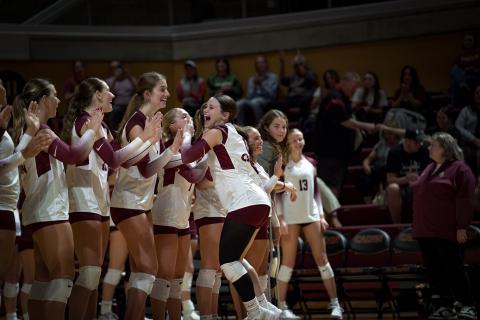 Women's Volleyball photo