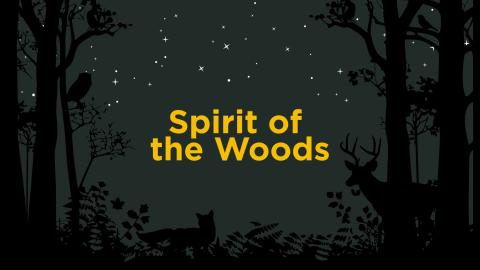header with night sky background and event title
