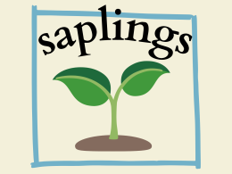 Saplings