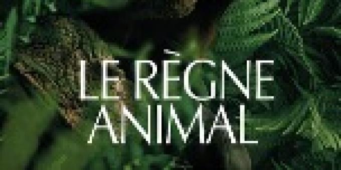 the animal kingdom movie poster.