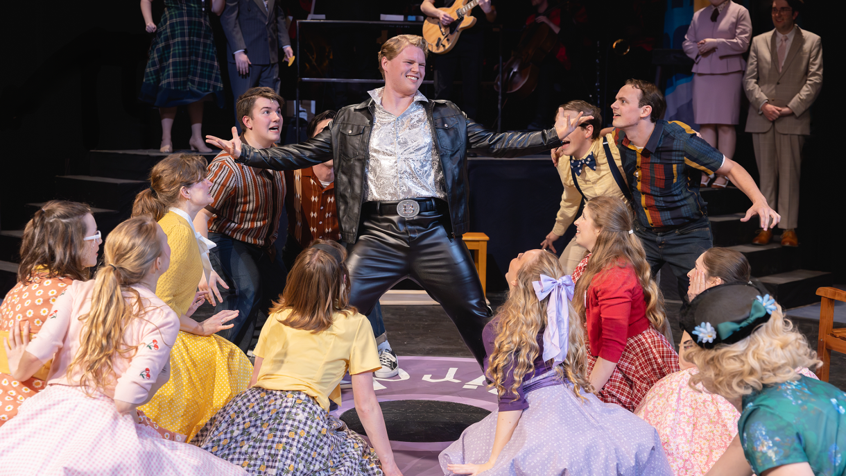 Bye Bye Birdie