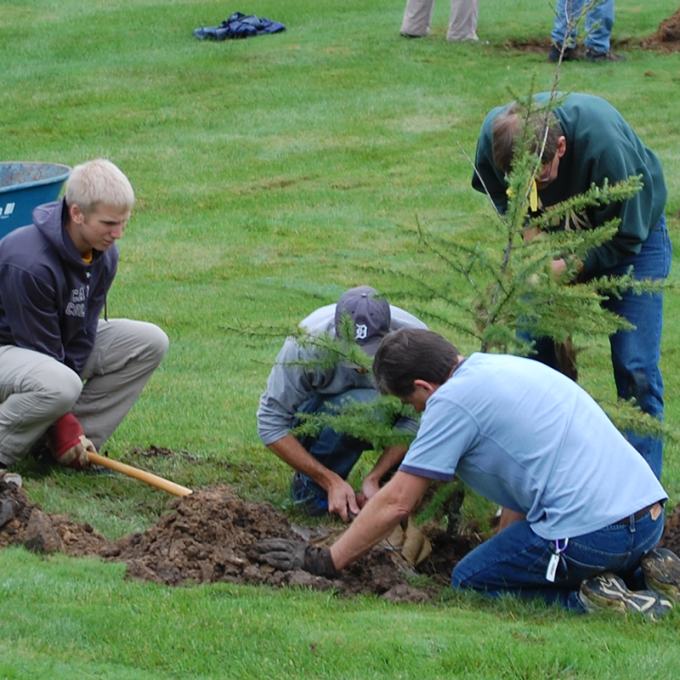 Brookside Tree Planting