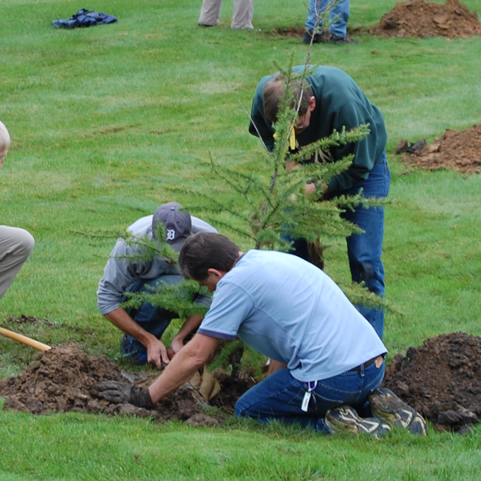 Brookside Tree Planting