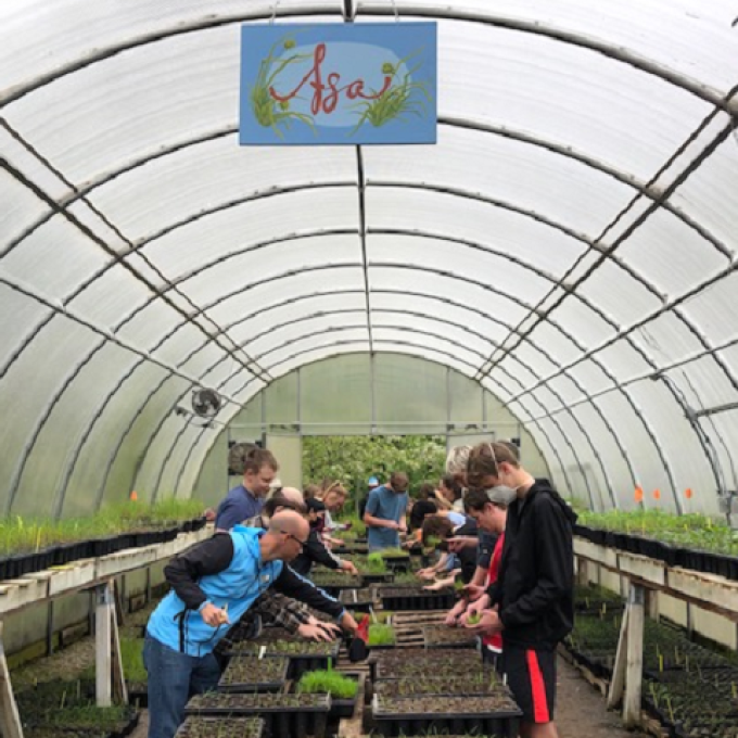 Plaster Creek volunteer work day in greenhouse