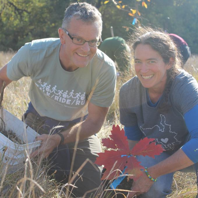 Planting an oak tree