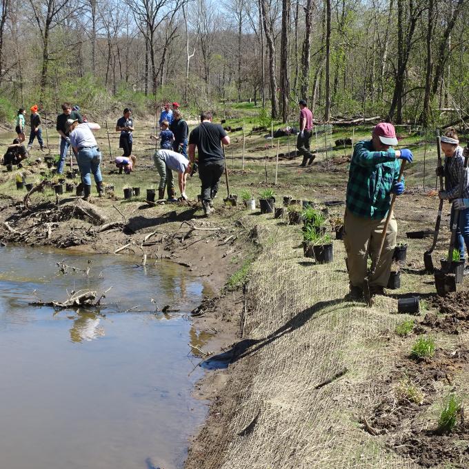 Planting a vegetative buffer along Plaster Creek