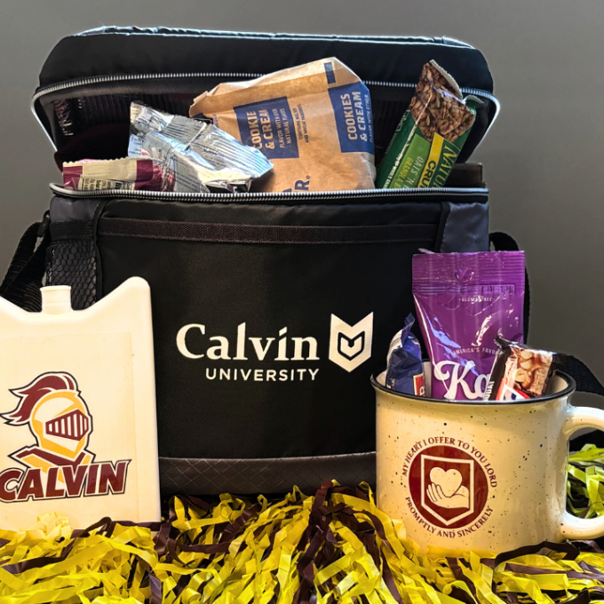 insulated lunch box, ice pack, and ceramic mug