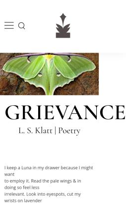 Screenshot of Grievance