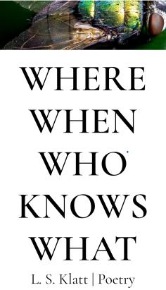 Screenshot of When When Who Knows What