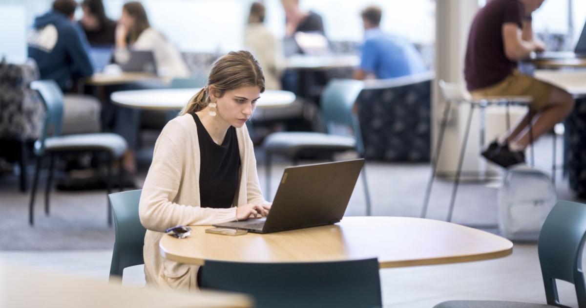 Information Systems Minor Calvin University