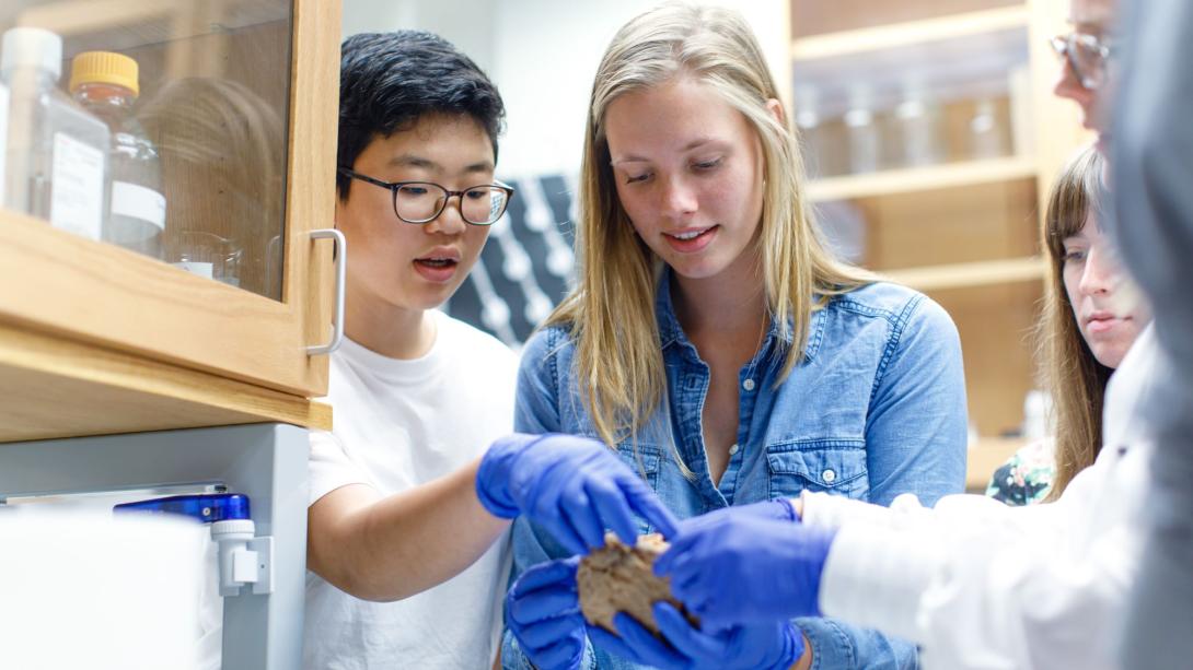 Students working with a model brain