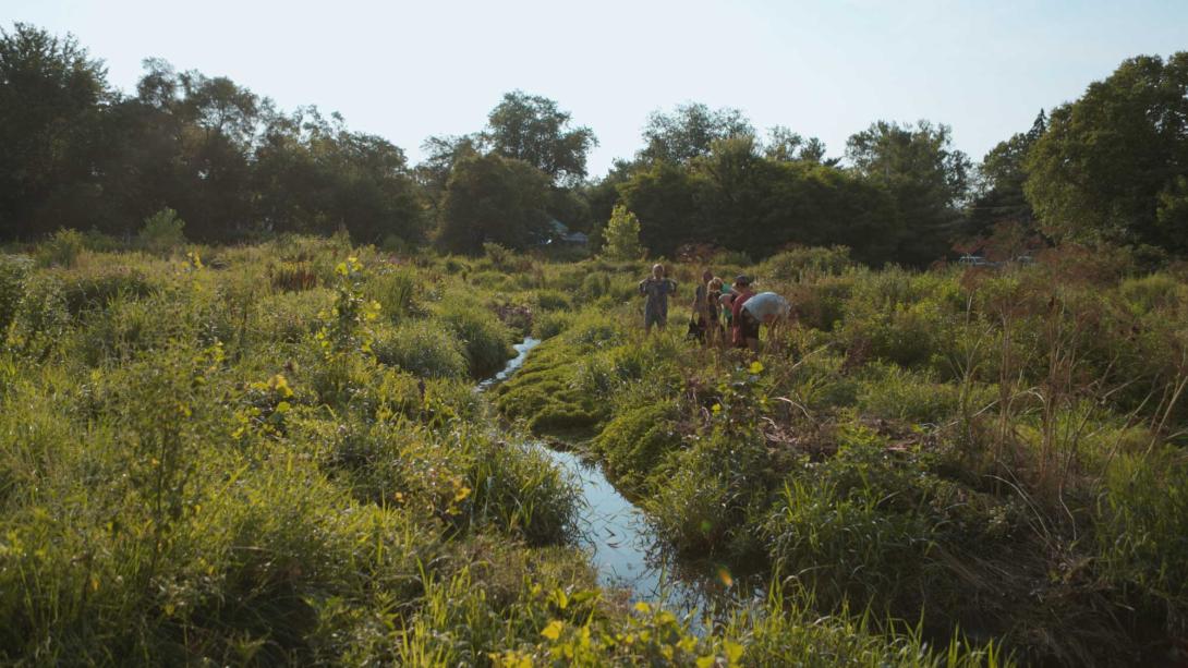 A creek runs through green grasses and bushes, while Plaster Creek Stewards work to restore it.