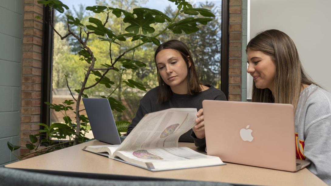 Two students at laptops