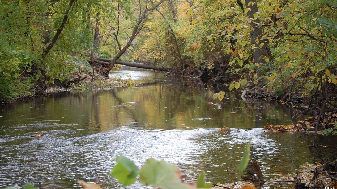 Plaster Creek in Grand Rapids, Michigan