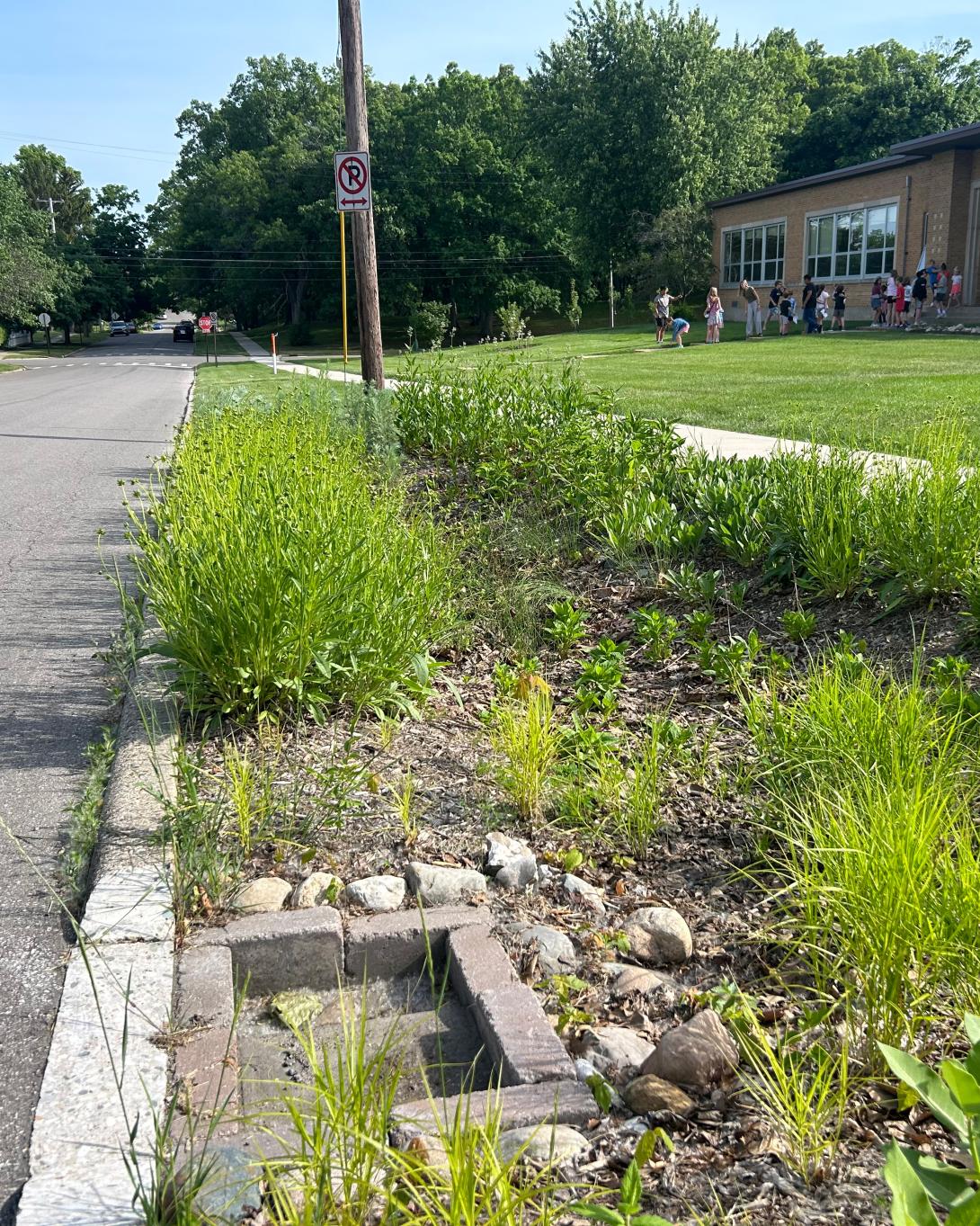 Rain Garden at Evergreen Christian School