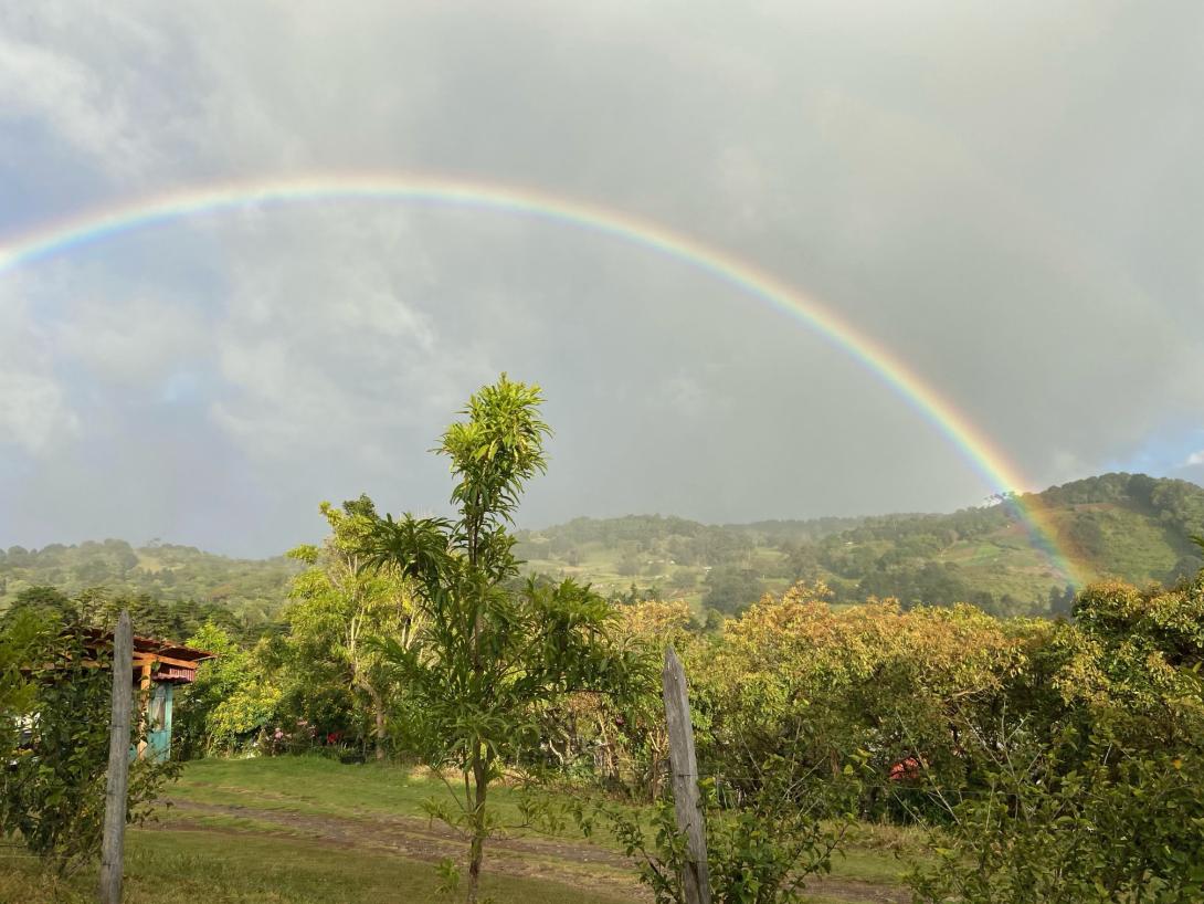 costa rica rainbow