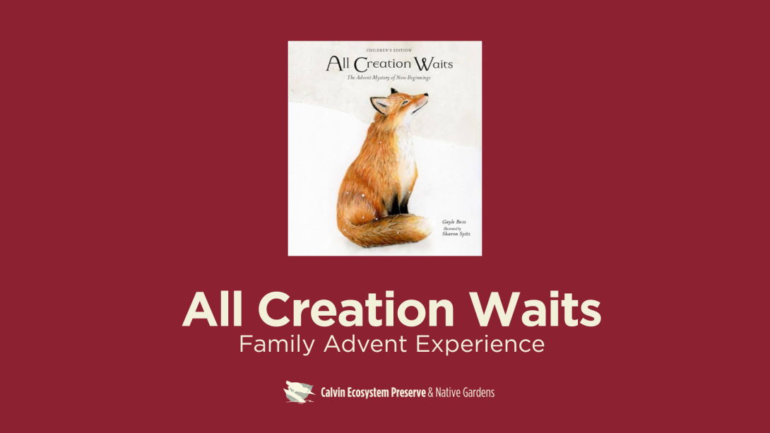 All Creation Waits header
