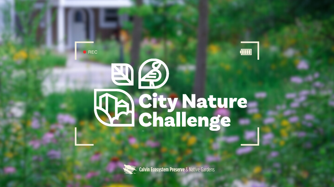 City Nature Challenge header