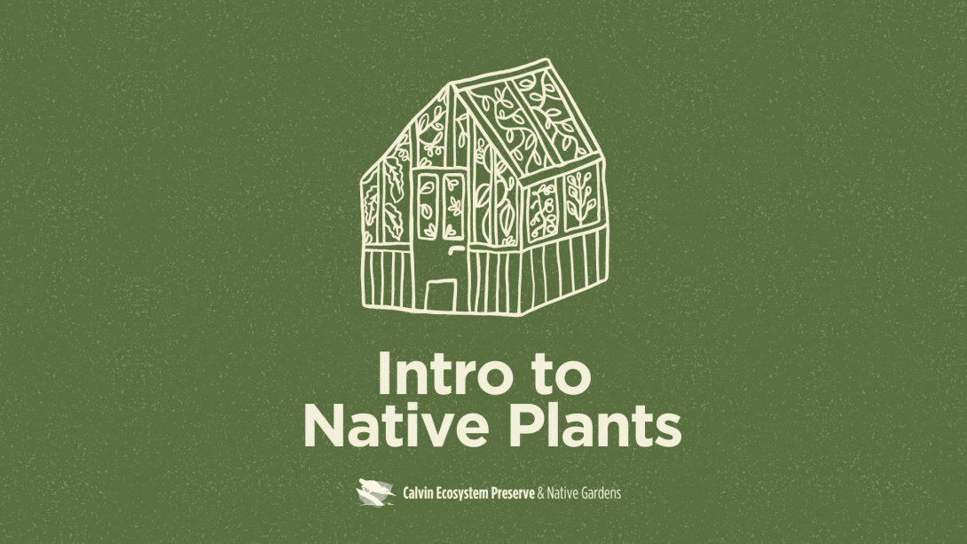 Introduction to Native Plants header