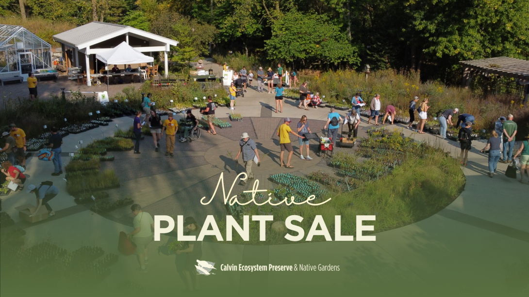 Photo of fall native plant sale in Venema Plaza 