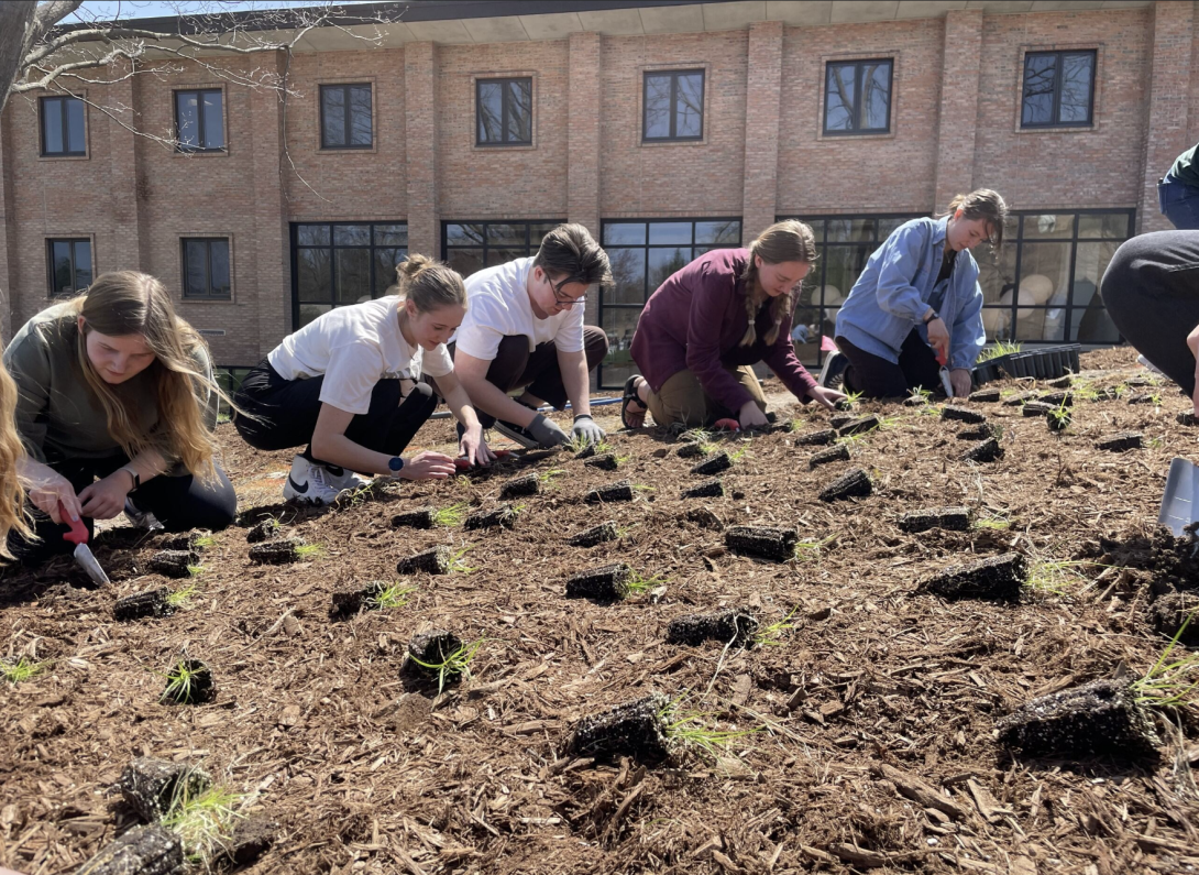 Seeds of Service: Celebrate 150 years of Calvin with hands in the soil and hearts rooted in community!