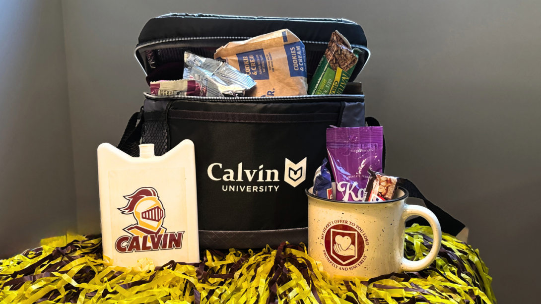 insulated lunch box, mug, and treats