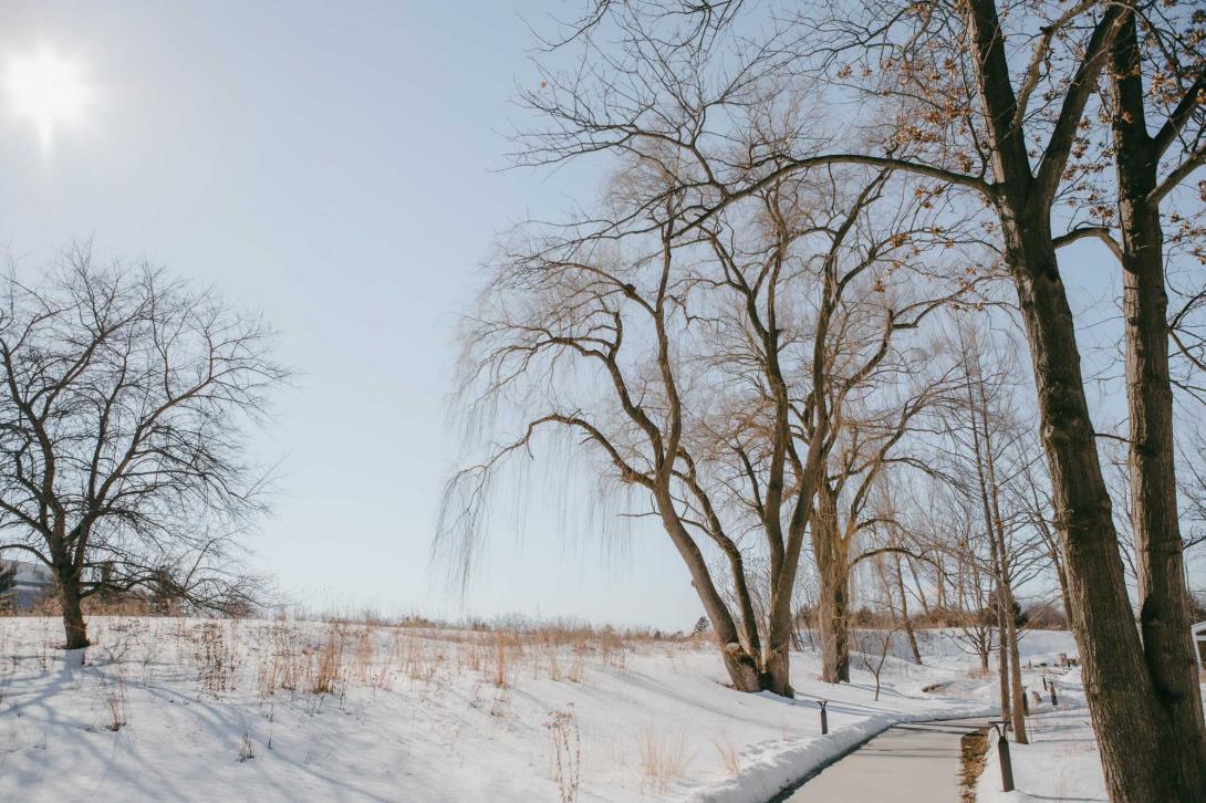 The ecosystem preserve trail winds through an open field on one side, and large trees on the other, covered in snow.