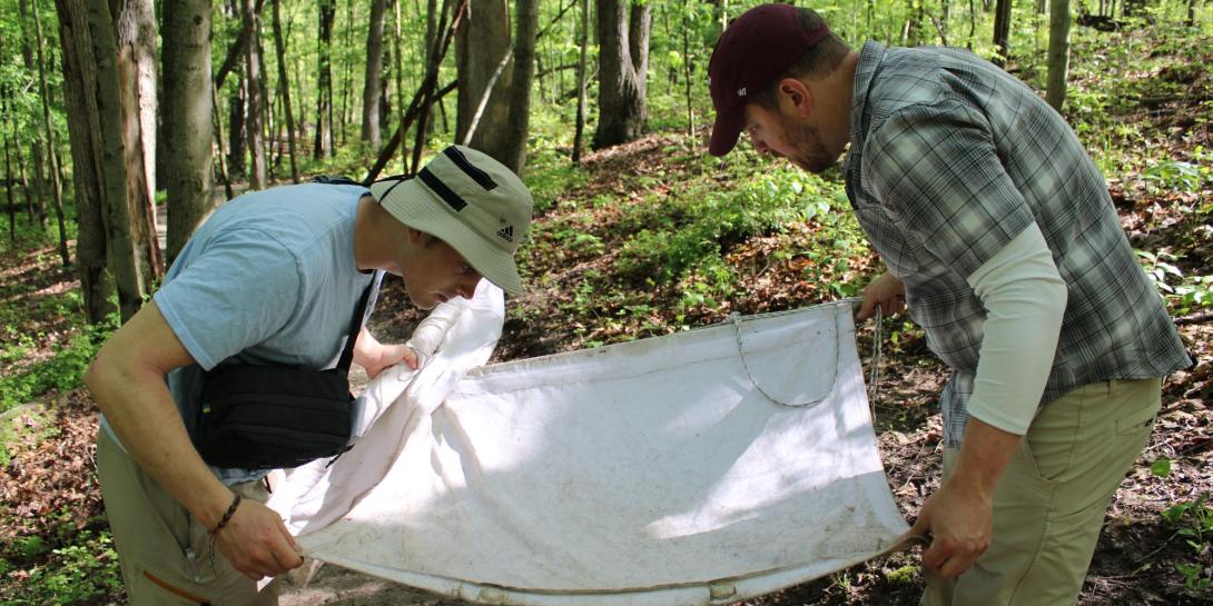 Tick Research done by Calvin University students and professors