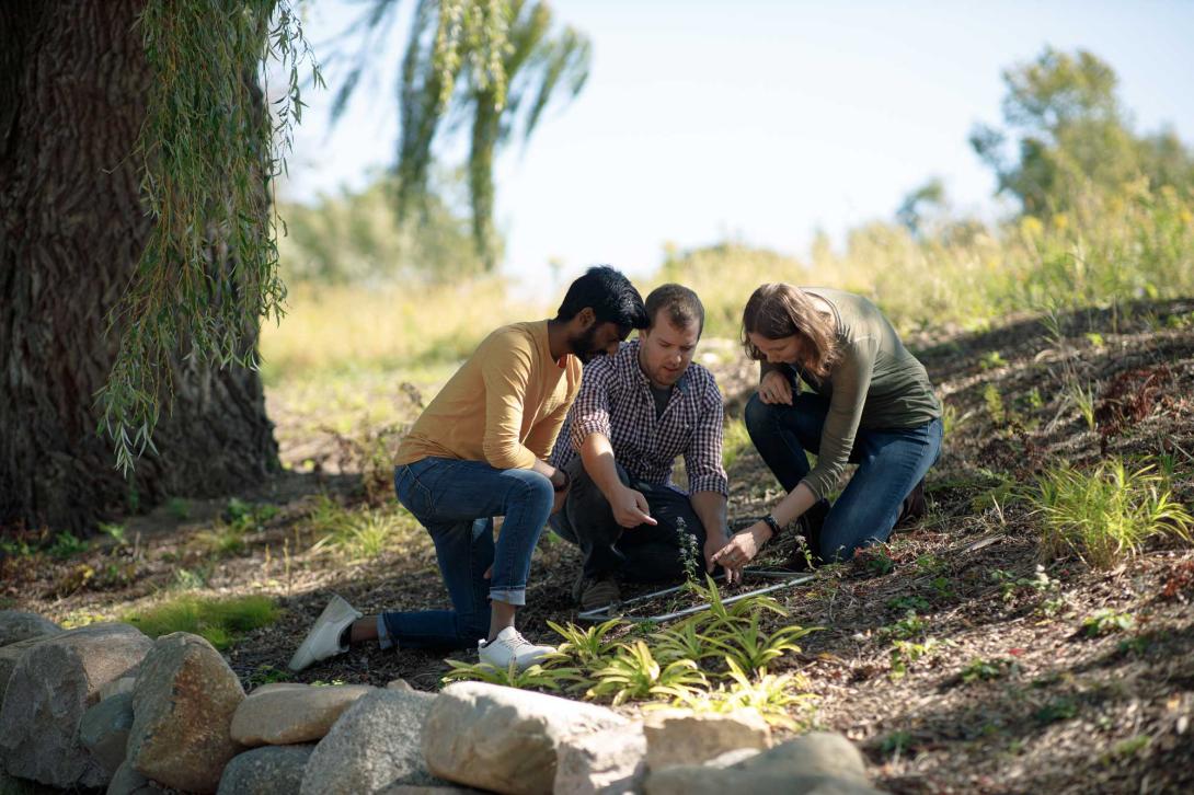 A professor and two biology students study ecology in the Calvin Ecosystem Preserve.