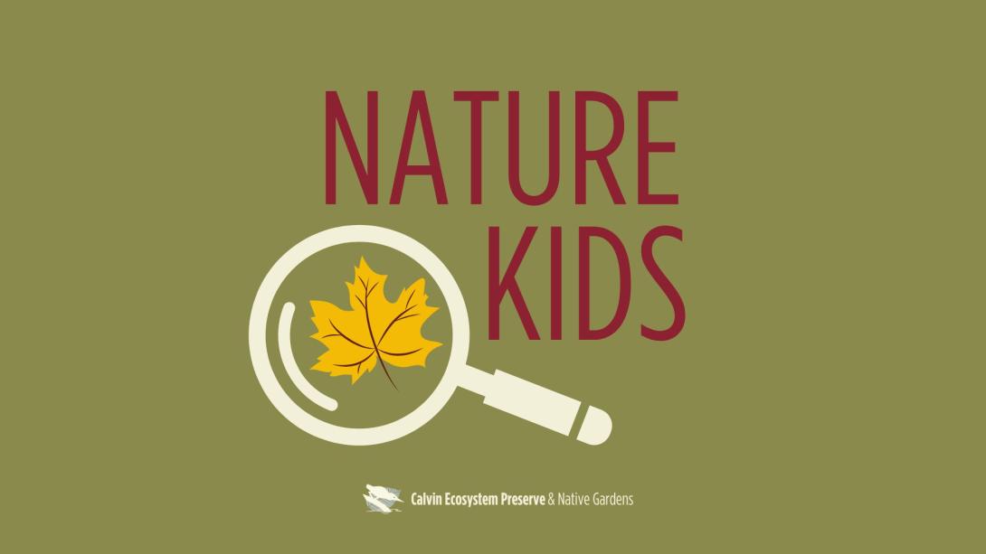 Header picture with title, magnifying glass of maple leaf