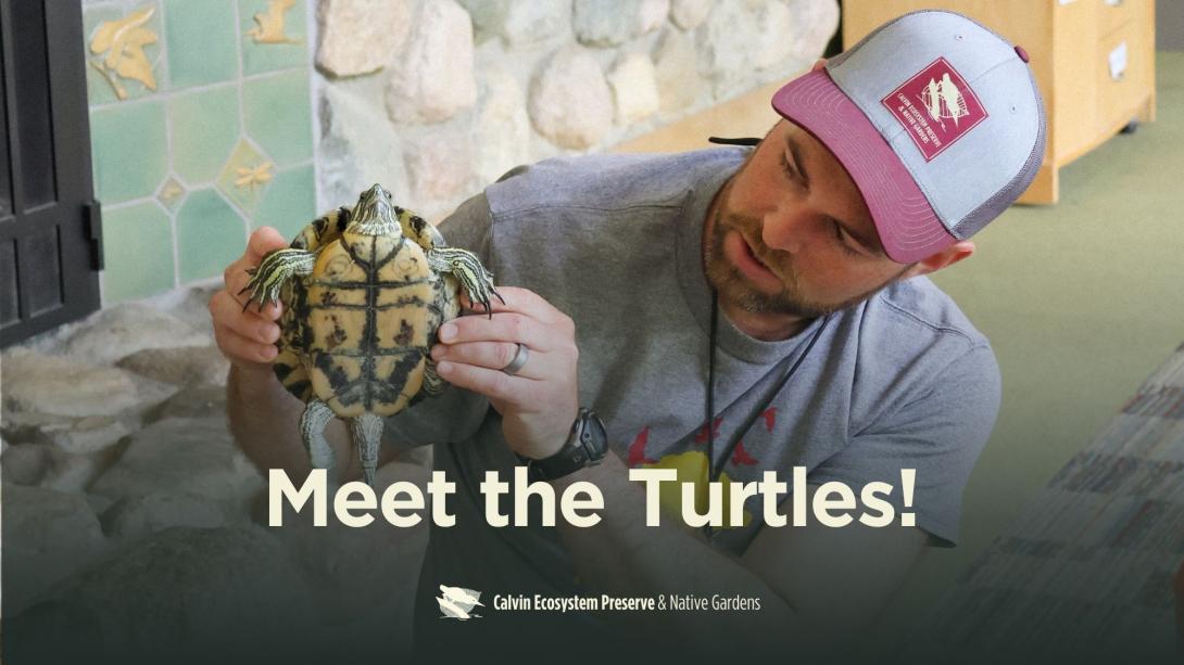 Title header w preserve staff holding a turtle