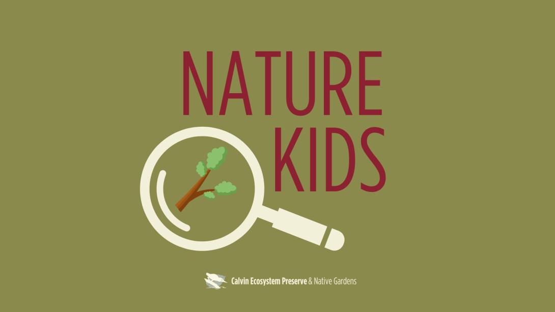 title header with magnifying glass, tree sprout inside