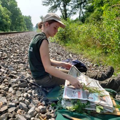 Student sitting next to railroad tracks inventorying plants