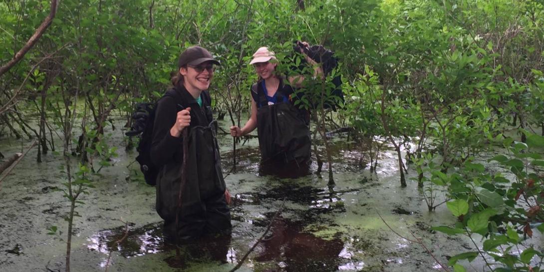 Students wearing waders going through a pond