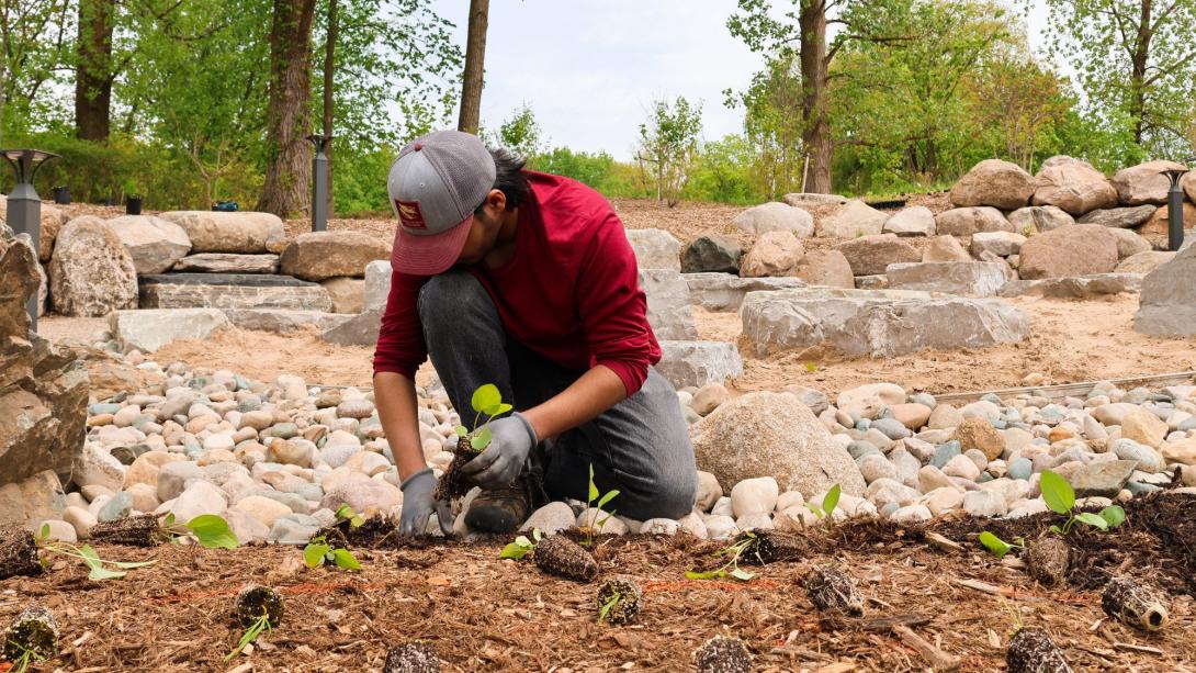 steward intern planting in Great Lakes Rock Garden