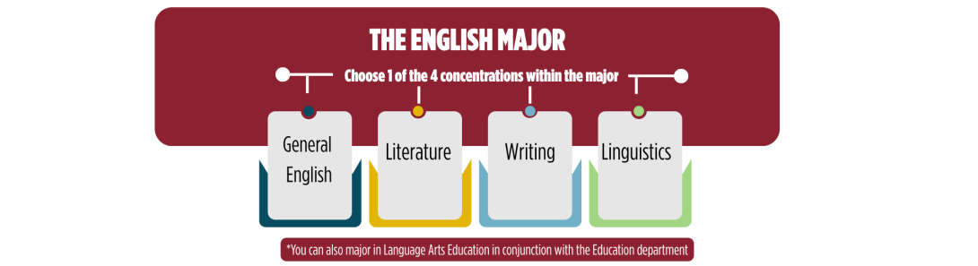 Graphic of the 4 concentrations (general, writing, literature, linguistics) available within the English major.