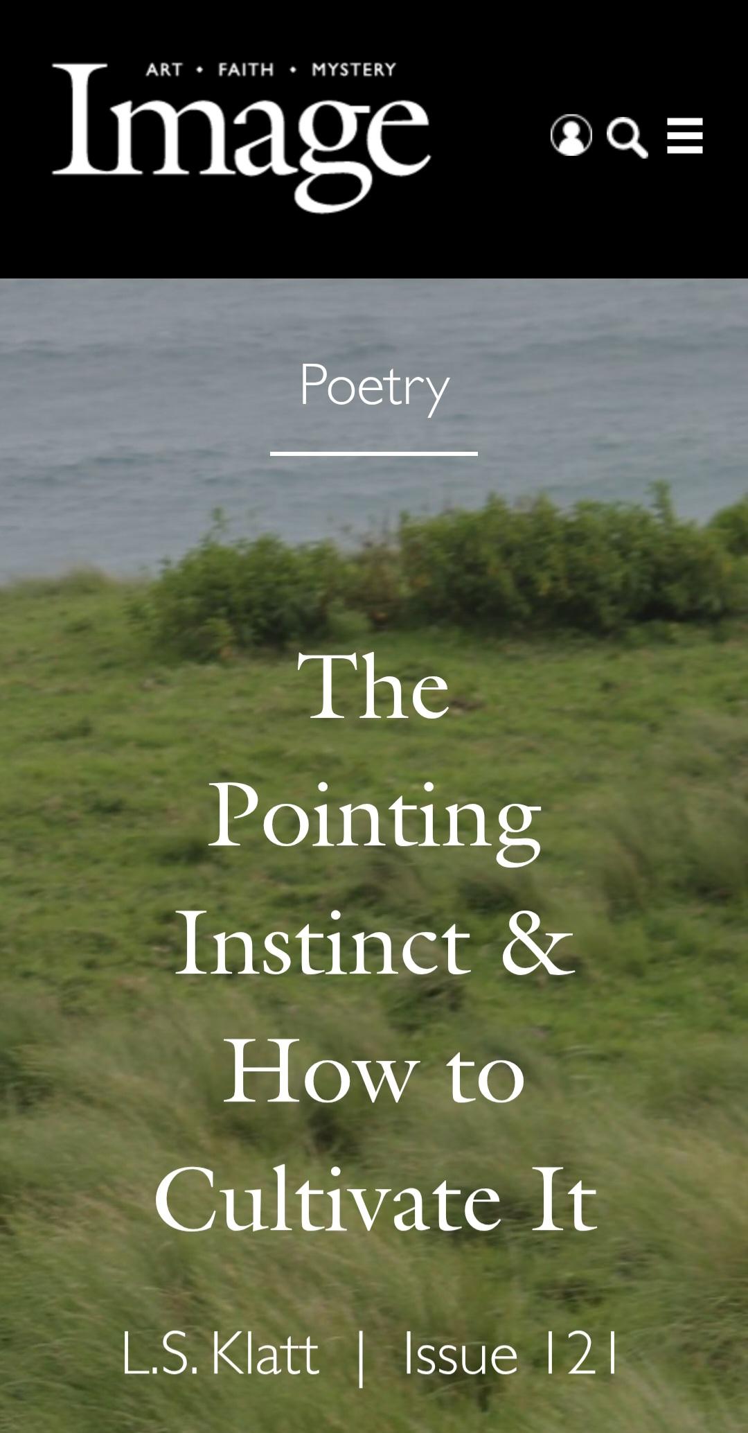 Screenshot of The Pointing Instinct & How to Cultivate It