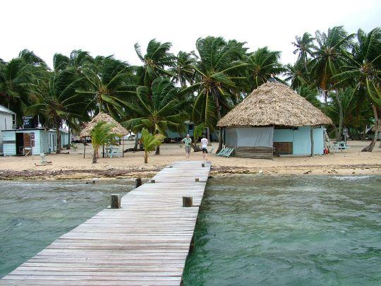 BzCRicaInterim2007 200 copy