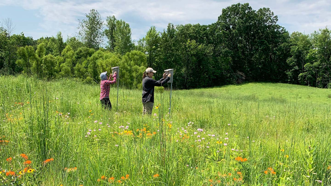 environmental_health