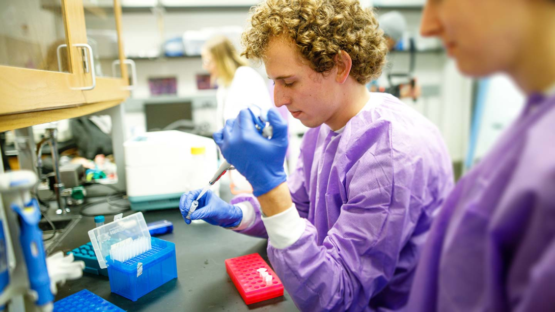 Calvin biology students at work in the laboratory