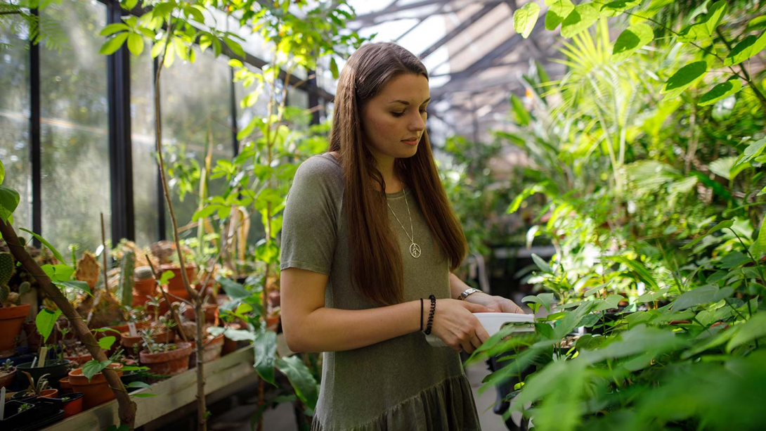 Calvin biology students working at computers