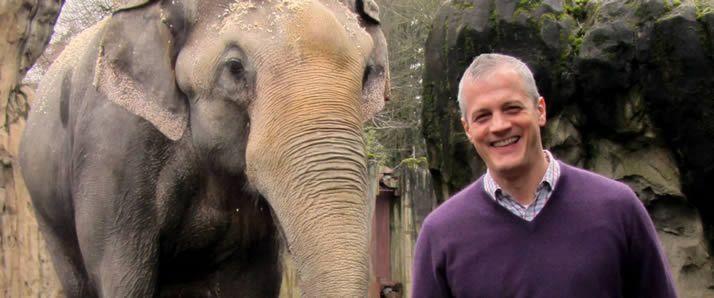 profile-dykstra-banner