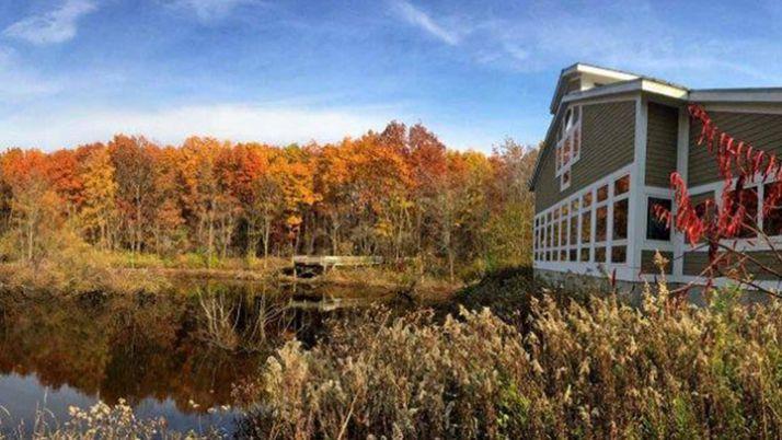 knoll-ecosystem-banner