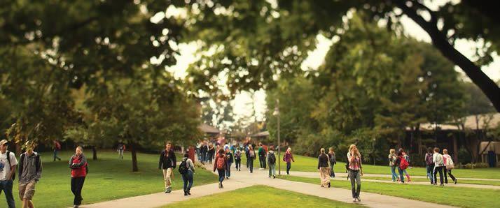 Calvin Rice Tree Welcome to Tree Campus USA - News & Stories | Calvin University