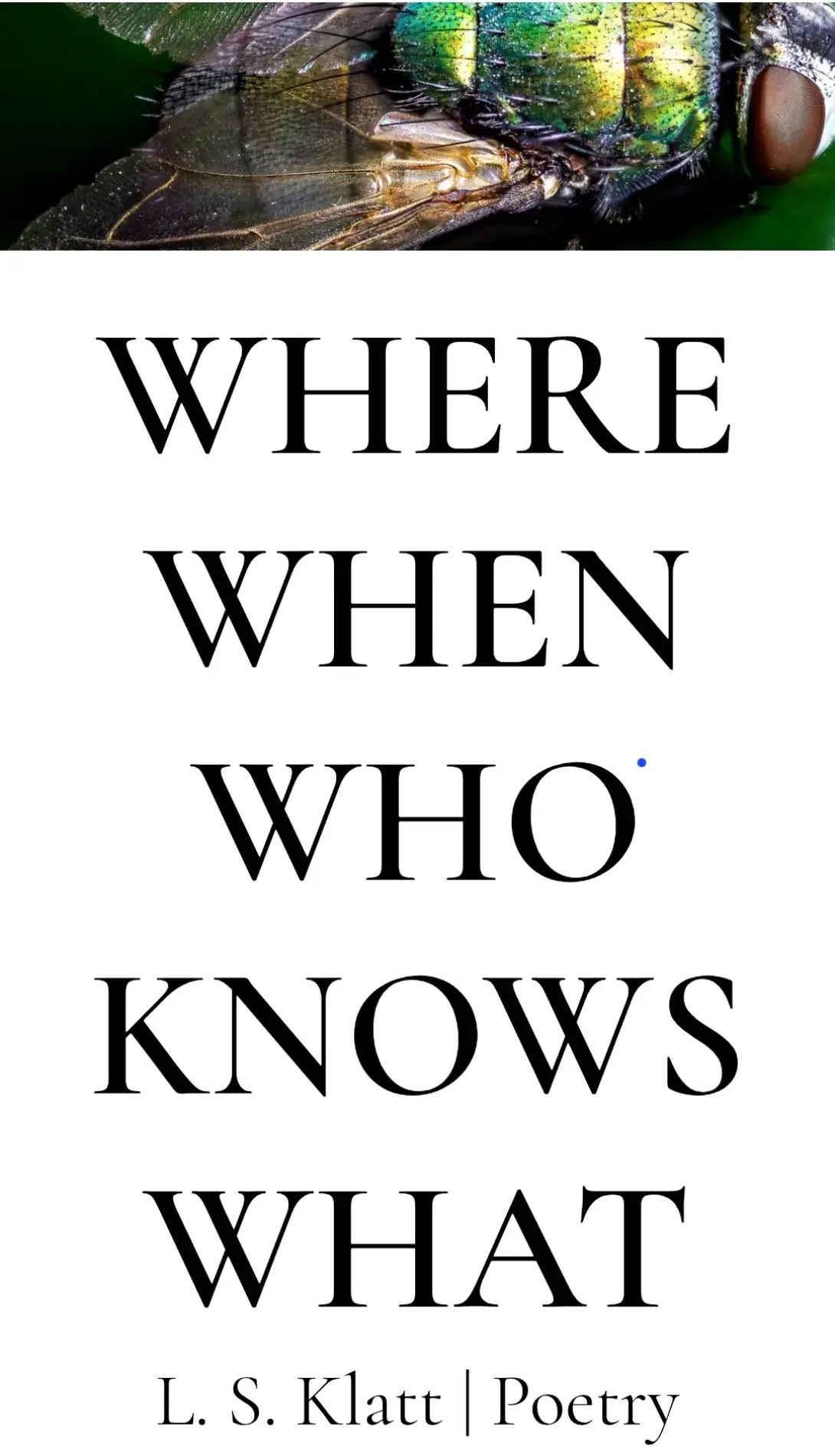 Screenshot of When When Who Knows What