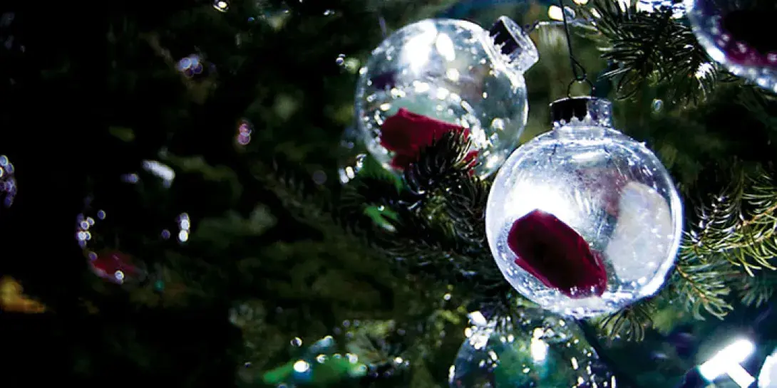 2011_christmas_banner714.jpg