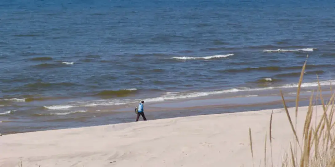 BeachWalker714.jpg