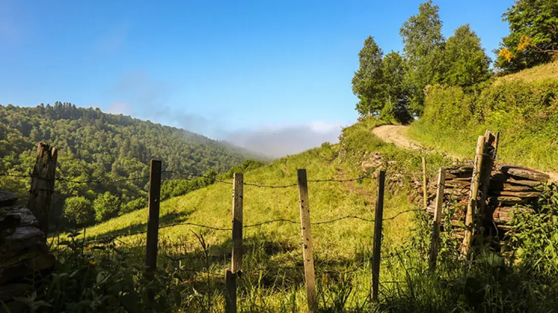 LandscapeImage720x405.jpg