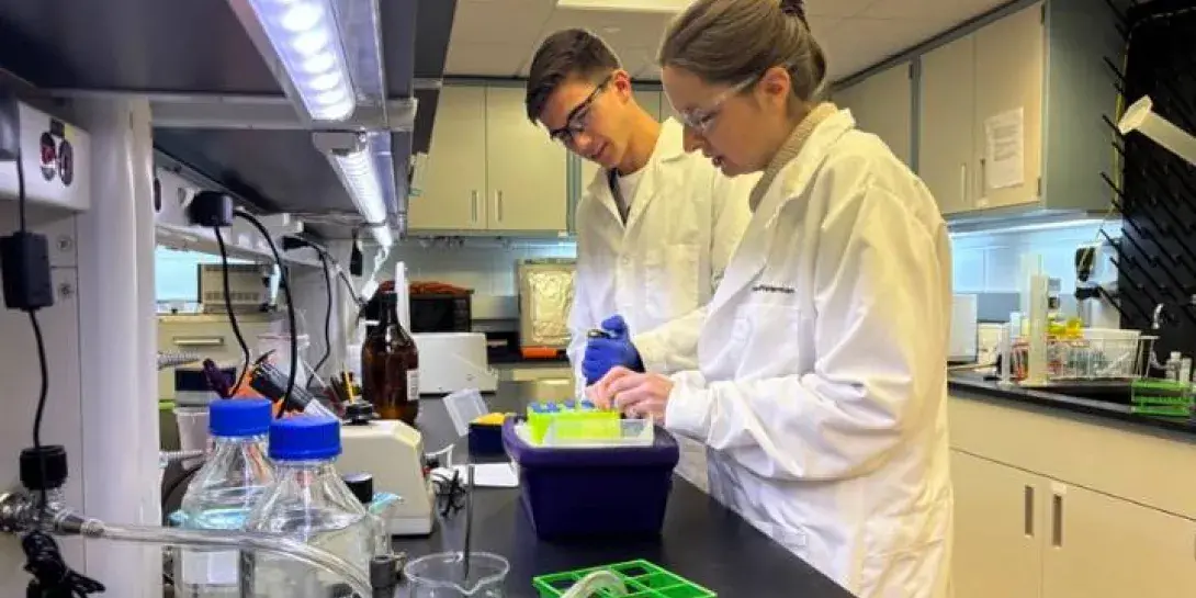 Luke Schipper is doing rare disease research alongside Professor Amy Wilstermann. A male college student works in a lab with his female professor on a research project.