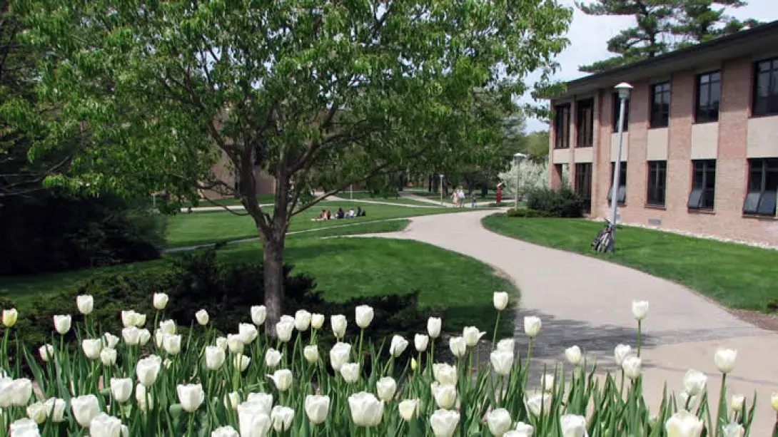 Springtulipsb720x405.jpg